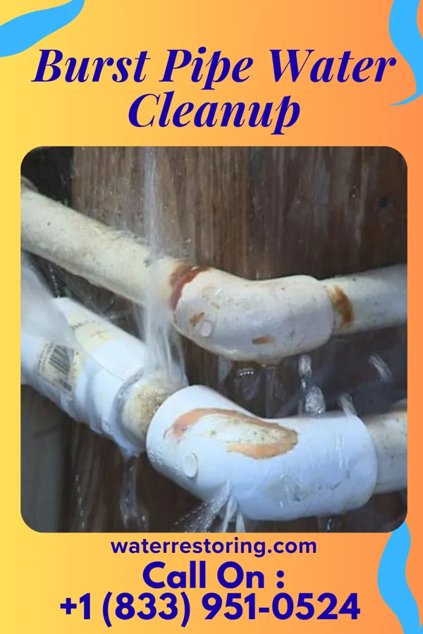 Burst Pipe Water Cleanup in Fortuna, CA